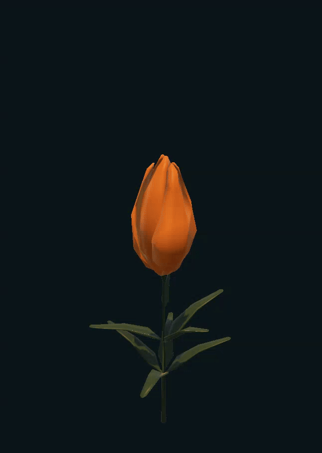 Lily